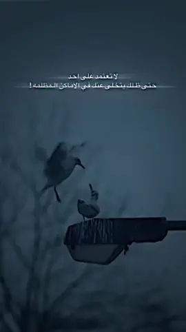 #قصيدة_شعر_أبيات_شيلات_اكسبلور_👍🏻👍🏻 #قصيدة_شعر_أبيات_متصدر_اكسبلور_٠ 