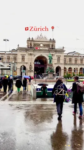 🌧️ Rainy day in Zürich Switzerland 🇨🇭 ☔️ 🍁 #switzerland #swiss #zurich  #travel #nature 