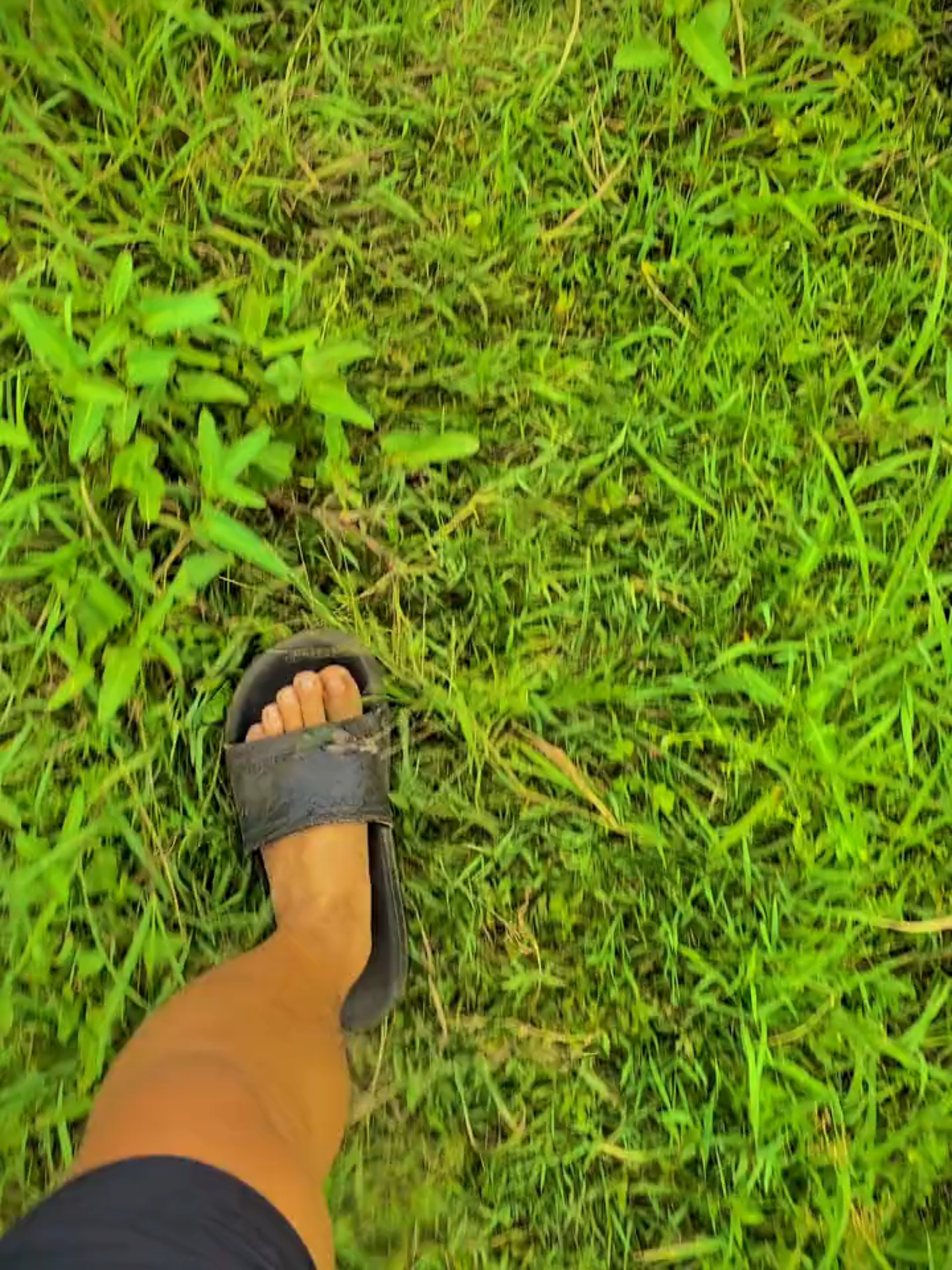 Coba terus  #testing #fyp #60fps #1080p60fps #4k #masukberandamuu #hd #fypage