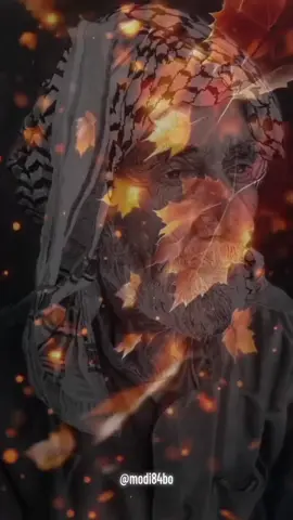 #شعراء_وذواقين_الشعر_الشعبي🎸 #اعادة_نشر #اترك_لنا_شي_جميل #اخر_شي_نسختو #لتتشاهدنا 