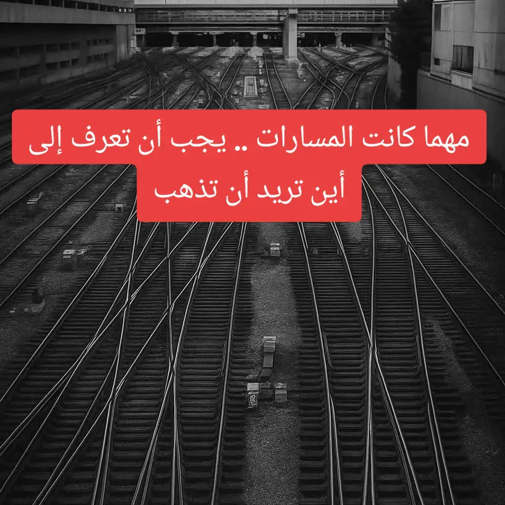 #تكسر_خواطر_الريدة_تاني_تصلحها🎶💜  #خواطر_للعقول_الراقية_فقط 
