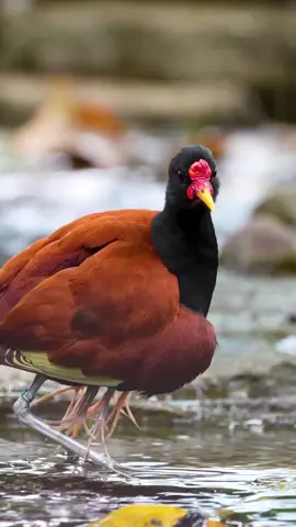 #يارب_دعوتك_فأستجب_لي_دعائي #سبحانك_ربي_مأعظمك #لااله_الا_انت_سبحانك_اني_كنت_من_ظالمين #انشر_تؤجر_بإذن_الله #سبحان_الله_والحمدلله_ولا_إله_إلا_الله 