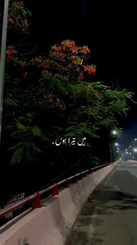 Hayeee this song …🥹❤️‍🩹🥀 || plzzz repost this video ||  . . . #unfreezemyaccount #lyrics_songs #foryoupagee #feelings #fadiee_asthetic 