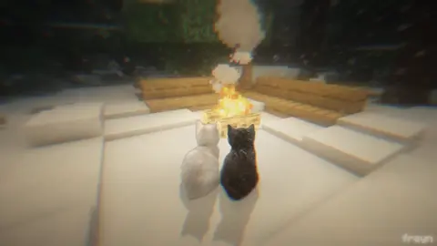 Minecraft cute cats #Minecraft #cats #cute #night #snow 