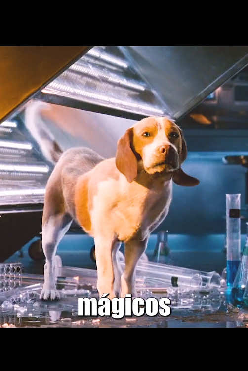 Este cachorro ha adquirido superpoderes.#movie #shorts #peliculas 