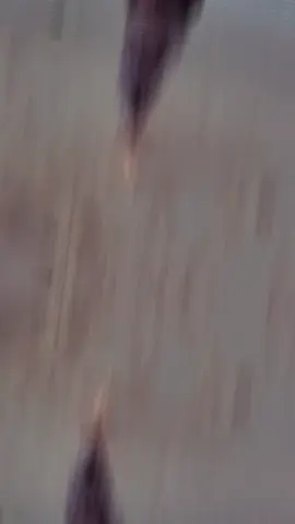 #CapCut #somalitiktok #foryoupage #puntilander🇸🇱 #beach🌊🏖️ 