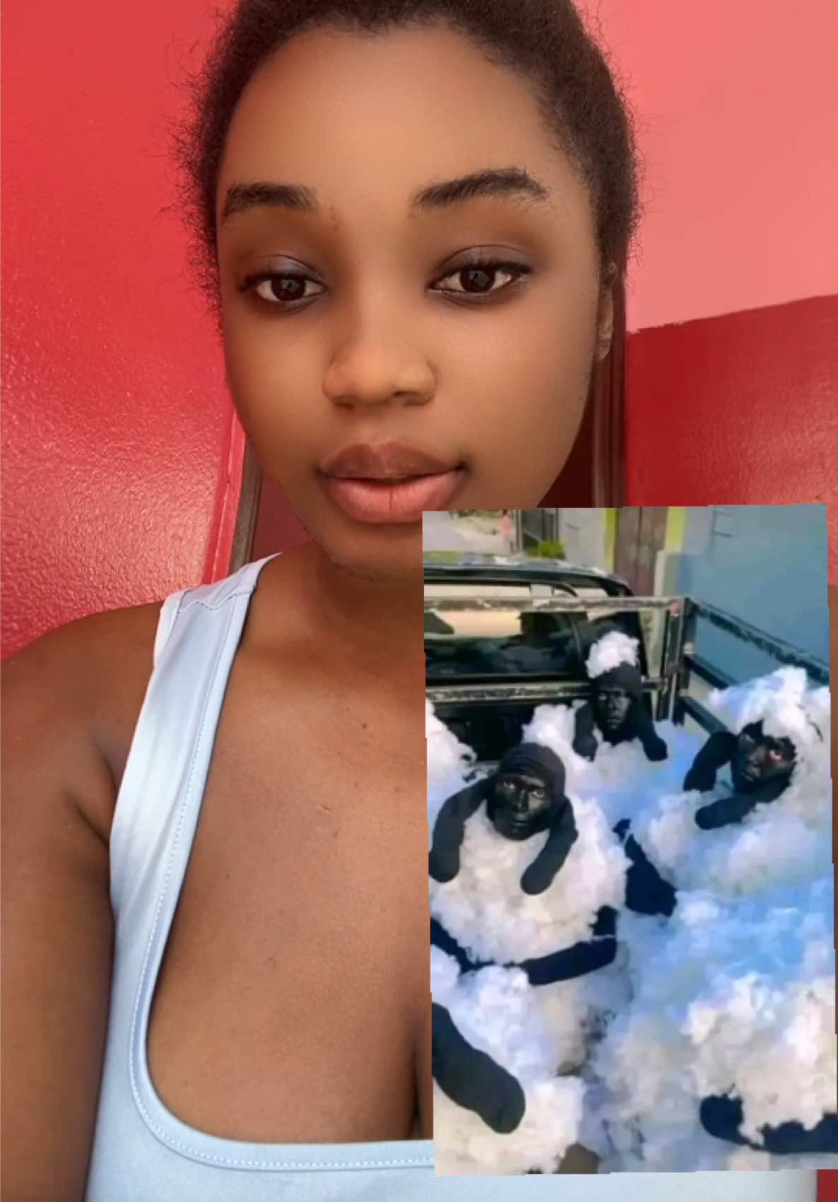 🚨 INSOLITE Espagne 🇪🇸 rois individus de nationalité inconnue ont été arrêtés alors qu’ils tentaient de passer vers l’Espagne… déguisés en moutons Certains disent que c'est sont des camerounais tandis que d'autres parlent de maliens , mais jusque là leur nationalité n'est pas encore connu officiellement  À votre avis ils sont de quelles nationalités ?  #actualités #afrique #immigration #debloquemesvue🥲🙏🏽 