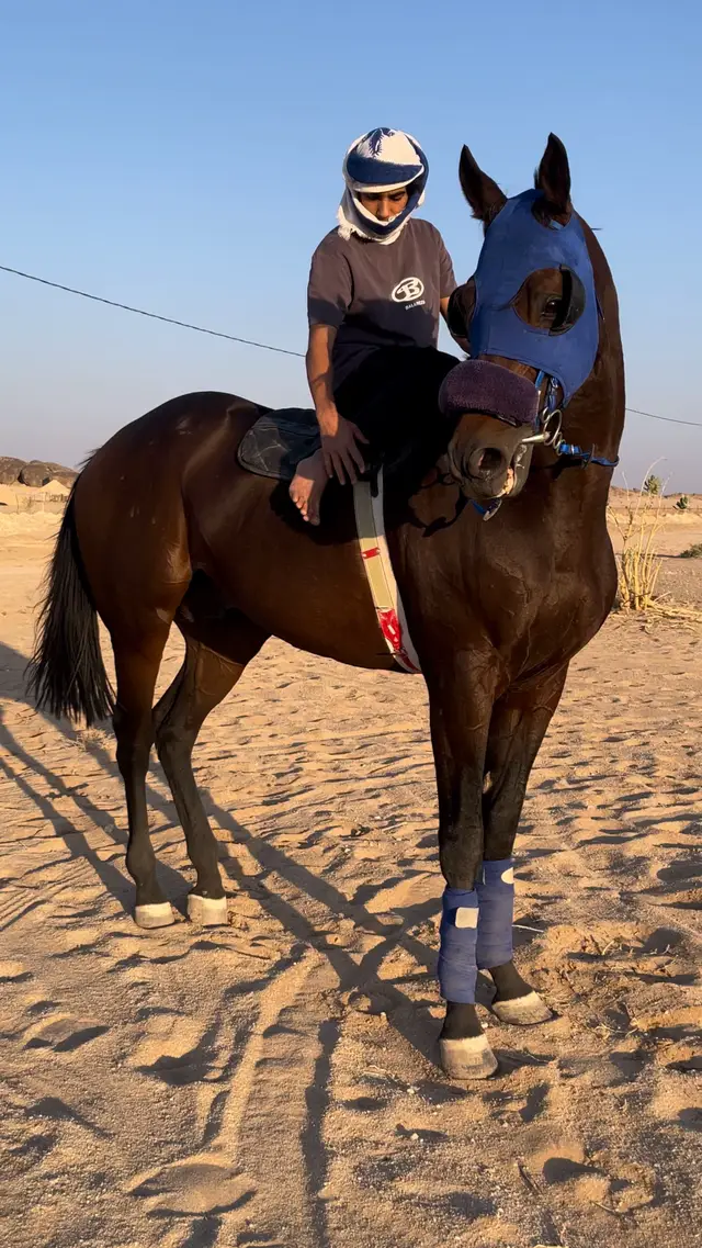 #explore #fyp #بني_واهب #أشيخ 