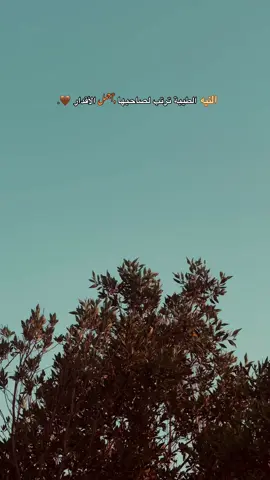 النيه الطيبه ترتب لصاحبها اجمل الاقدار 💕.جزء55#سيد_سلام_الحسيني #تصميم_فيديوهات🎶🎤🎬 #تصويري_احترافي_الاجواء👌🏻🕊😴 #اكسبوررررررررررر💥⭐💥⭐💥🌟✨💥✨💥✨ #لايك_متابعه_اكسبلور 