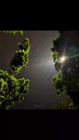 milane Ko tujhse bahane karo #fyp #trainingsong #newsongs #lyricssongs #1million 