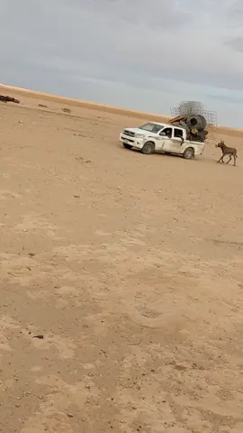 #اجدابيا #بنغازي #الشعب_الصيني_ماله_حل😂😂 #مالي_خلق_احط_هاشتاقات #لايك__explore___ 