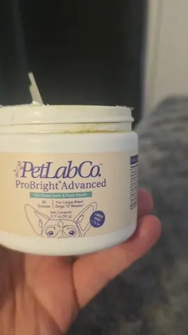 easiest way to clean your dogs teeth #petlabco #dentalpowder #fyf #rottweiler 