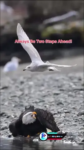 #ஆபத்தானஎதிரி உன்னோட நண்பன்தான்#foryou #100k #💖💖💖💖 #CapCut 