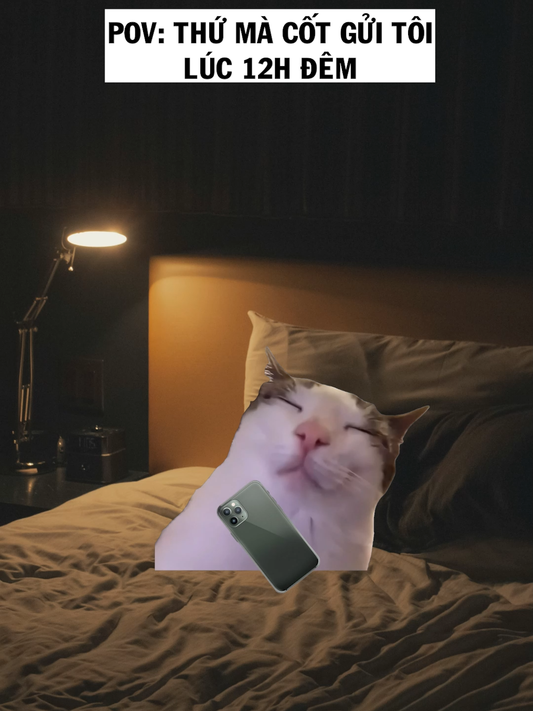 Cốt ơi là cốt (cre: Ở đây có truyện full) #foryou #dog #cat #memes #nupgamgiuong #j4f #meme #fyp #funny