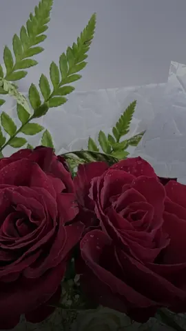 #CapCut #اكسبلورexplore #عشق #حب #شعر 