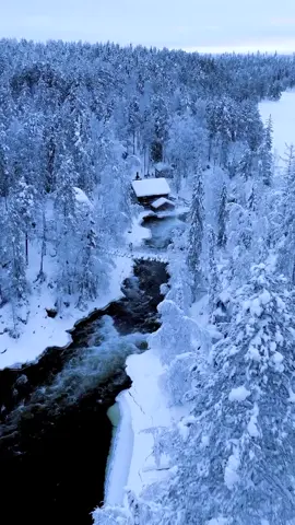 #природапрекрасна  зимой 