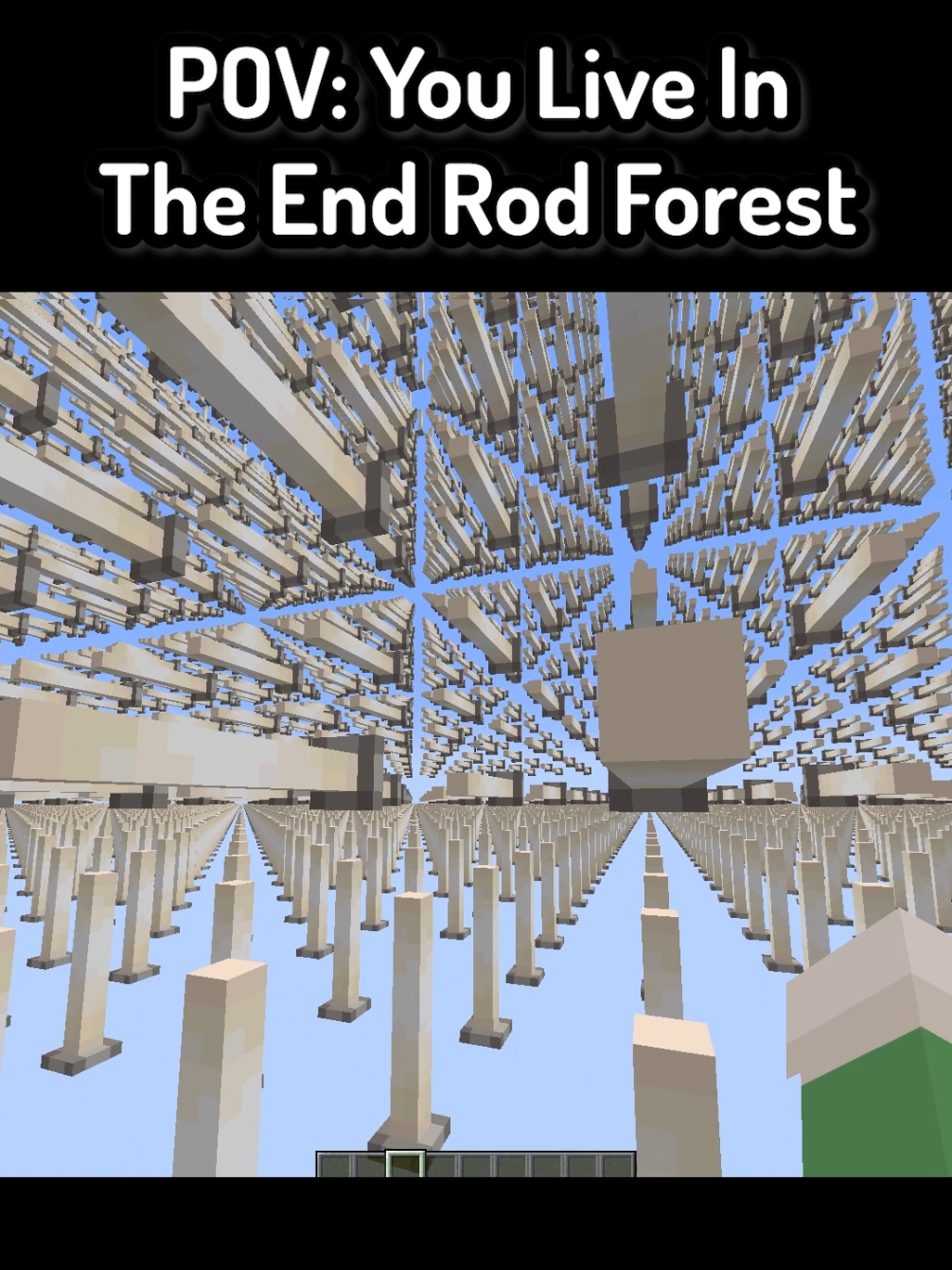 POV: You Live In The End Rod Forest In Minecraft ( FT: @Vermey ) #Minecraft #funnymoments #mc #mcyt #minecraftmemes 