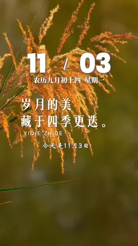 今天是11月3日，星期一，早安。岁月的美，藏于四季更迭；生活的美，在于温暖相伴；情谊的美，贵在真诚相惜。迎着清晨的第一缕阳光，感恩茫茫人海中相遇相知的你，新的一天，愿你顺利，好运常伴…加油！