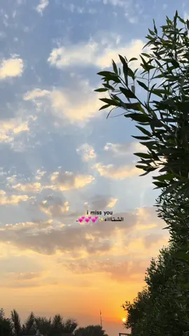 #الشتاء #الاجواء_الشتويه 