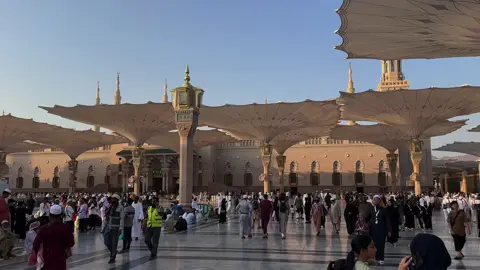 🕌❤️. #اكسبلور #اجر #اكسبلورر #المدينه_المنوره #