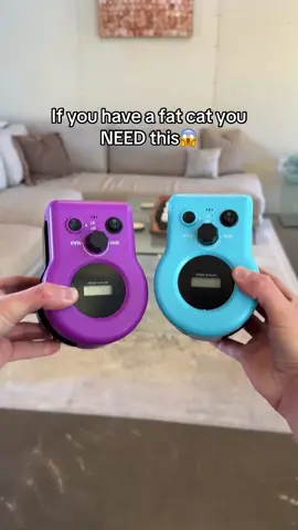 This toy is a must have😫 #cats #cattoys #kitten #fyp 