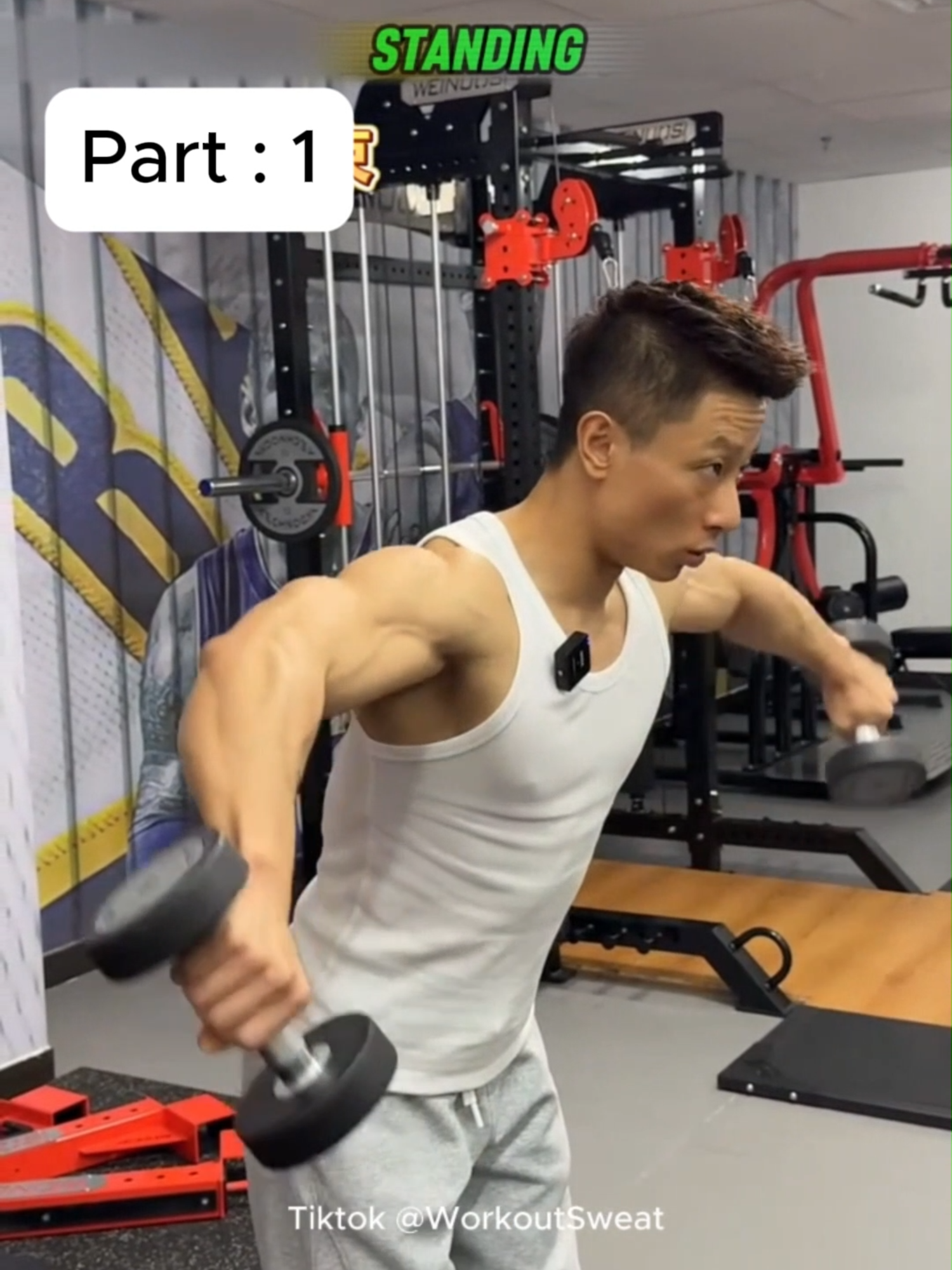 Part 1 of, Precise Training for Every Aspect of Full, Pumpkin Shoulder Shape. Detailed tutorial on the dumbbell shoulder press, top half shoulder press, smith shoulder press, heavy shoulder press, shoulder press target muscles, squat shoulder press, shoulder press standing up, shoulder brace, dumbbell shoulder press, alternative shoulder press,