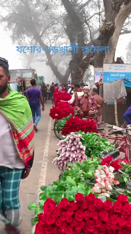 যশোর গদখালী কি সুন্দর ফুল মনোরম পরিবেশ ভোর চারটে বের হয়েছি বাইক নিয়ে ফুলের বিশ্ব দেখারই জন্য একবার আসুন আপনারা এসে দেখে যান গদখালী ফুলেরি মেলা ❤️❤️❤️🌹🌹🌹