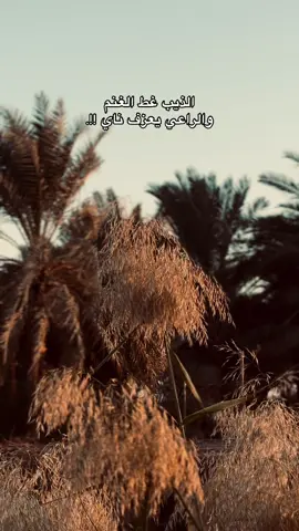 سمير صبيح 💜 ،القليل يفهمها 👏🏼.جزء 56#سمير_صبيح #الشاعر_سمير_صبيح #تصميم_فيديوهات🎶🎤🎬 #تصويري_احترافي_الاجواء👌🏻🕊😴 #اكسبلورررررررررررررررررررر💥🌟💥🌟💥💥🌟🌟🌟🌟🌟 