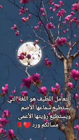 #مساء_الخير #مسائكم_سعادة_وعافية_وراحه_بال #مساء_الورد #اللهم_لك_الحمد_ولك_الشكر #اقتباسات 