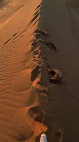 🤍9:15.PM🤍#اسلام_صبحي 