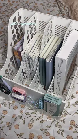 must have talaga ito #fileorganizer #deskorganizer #organizer #mustbuy 