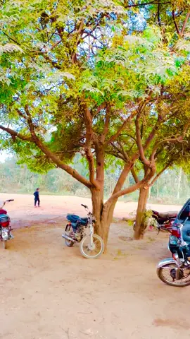 #faisal_sandhu1 #foryou 