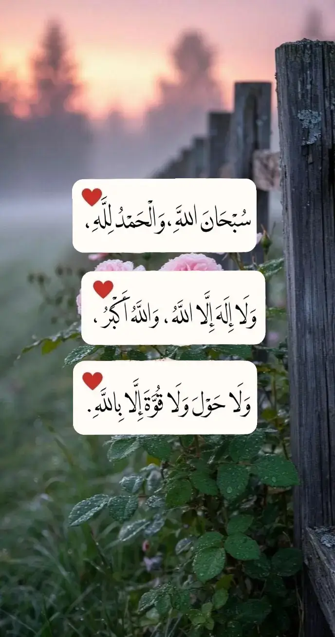 #fyp #fypage #اكسبلورexplore 