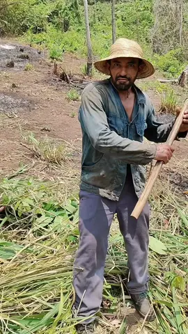 aqui nois respeita os maribondo kkk 🤣