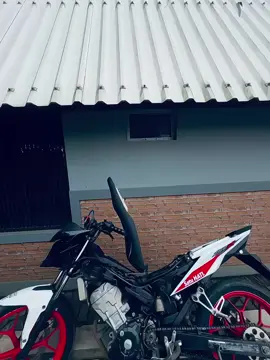 #kumahaaing #anjingedan #sonicstyle #sonicthehedgehog #sonictasik🏴‍☠️ 