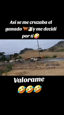 En el campito 😊😊#naturaleza #parat #fyppppppppppppppppppppppp #tik_tok #tiktokviral 