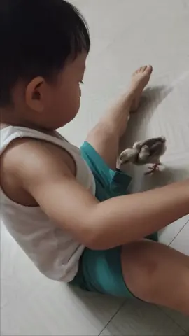 #วีดีโอตลก #video #Funny 😆😆