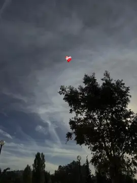 #fyp #الشعب_الصيني_ماله_حل😂😂🙈 