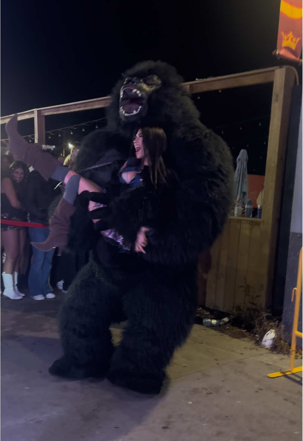 Love me a big gorilla 