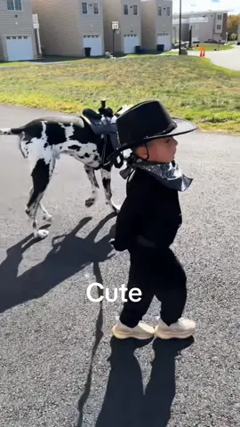 #duet with @Grace ✨ #HalloweenCostume 