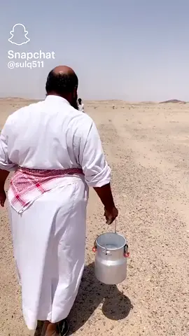 #الحمدلله_دائماً_وابداً💚🌧️🤲 #ksa #فهد511 #حليب_السعودية #99nightsintheforest 