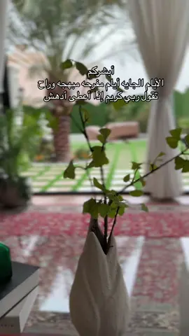 #عبايات_الملفته #اكسبلور #الكويت #عبايات 