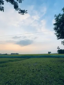 শান্ত বিকাল...🌅😊❤️‍🩹 #backgroundvideo #weather #song 