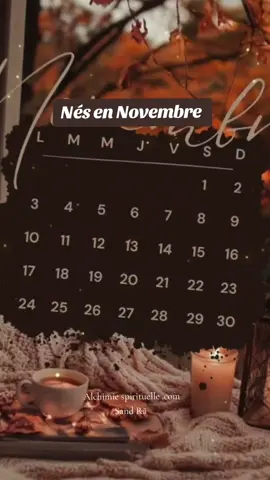 joyeux anniversaire aux Scorpions 🦂 et Sagittaire ♐  #novembre #scorpion #sagittaire 