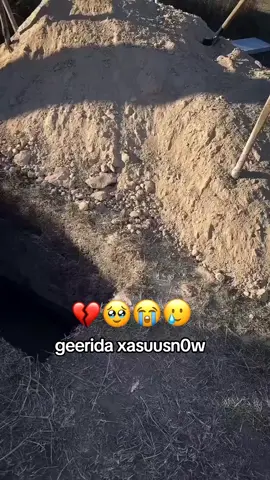 #creatorsearchinsights #everyone #CapCut #صلي_علي_النبي_محمد_صلي_الله_عليه_وسلم #viral #sheekh_xusen_cali_jabuti #sheekhmustafe 