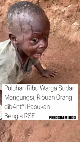 Lebih dari 62.000 orang mengungsi dari El-Fasher, Sudan, empat hari setelah Pasukan Dukungan Cepat (RSF) merebut ibu kota negara bagian Darfur Utara, kata Organisasi Internasional untuk Migrasi (IOM). Dalam pernyataan pada Jumat, badan PBB itu mengatakan tim mereka di lapangan memperkirakan 62.263 orang mengungsi dari El-Fasher dan sekitarnya antara 26 hingga 29 Oktober. IOM menambahkan bahwa pada 29 Oktober saja, sekitar 26.080 orang mengungsi dari El-Fasher, termasuk 25.305 yang meninggalkan kota itu demi keselamatan. Jaringan Dokter Sudan juga melaporkan sekitar 4.500 orang melarikan diri dari Kota Bara di negara bagian Kordofan Utara akibat 