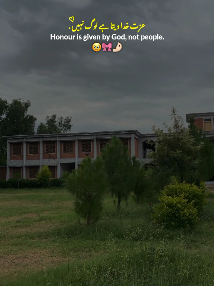 Don't Afraid 🌼🎀 || Motivational quotes 💗🤌🏻 || Motivation 💓 || New Status Video ✨ #fyp #motivation #lines #motivational #statusvideo 