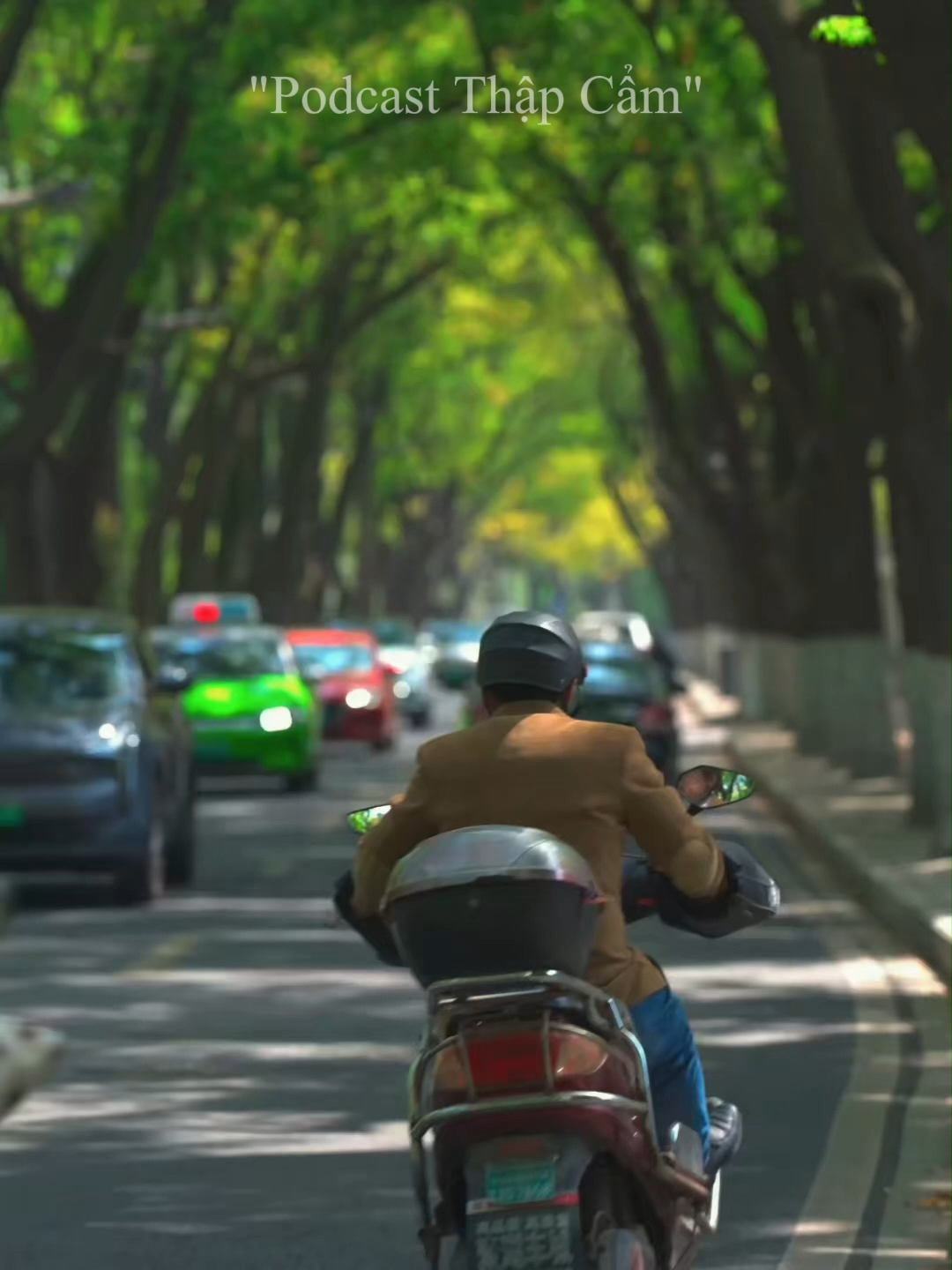 “今天是11月3日，星期一。早安” Đừng sợ lựa chọn và hành động, bởi dù kết quả ra sao, việc dám bước đi đã là một sự trưởng thành và dũng cảm rồi #podcastthapcam #tiengtrunganan #hoctiengtrung #videodouyin #tiktokviral #早安 #caphay #chaobuoisang #chaobuoisangbangtiengtrung