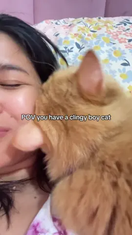 This is what happiness looks like 🥹🐱💕✨ #catsoftiktok #fyp #kucingoyen 