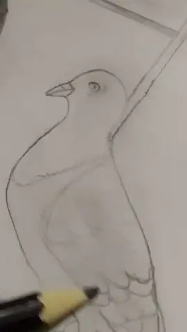 #على دارك من يحط الطير احاجي واكولك اشلون اهلنا 💔 #مرتضى حرب 